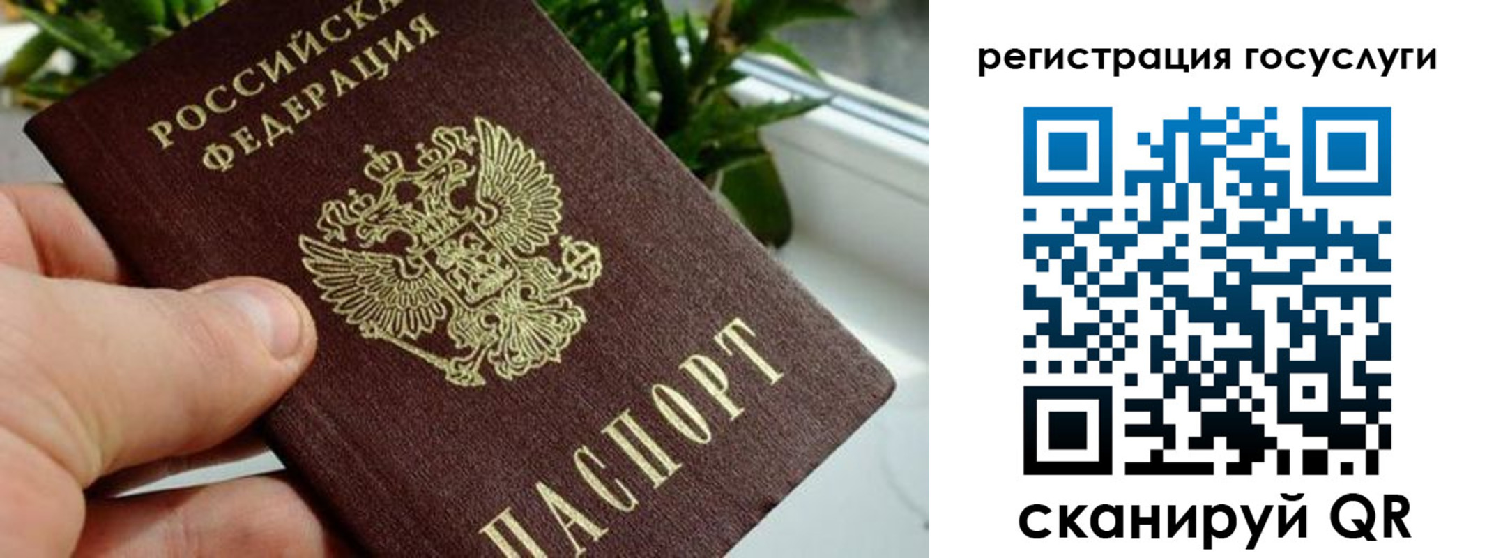 прописка для кредита в Ржеве